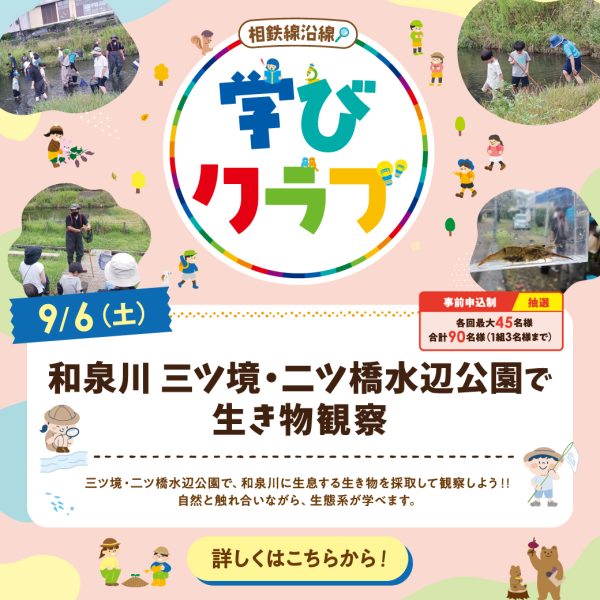 【開催終了】9/6（土） 相鉄線沿線「学びクラブ」和泉川 三ツ境・二ツ橋水辺公園で生き物観察